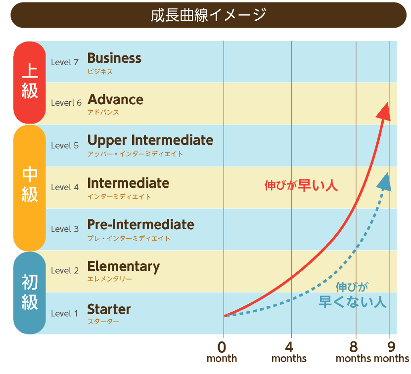 英語の向上スピード図表:英語の伸び