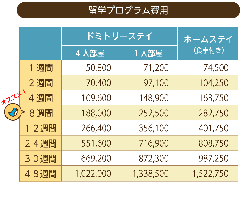 留学プログラム費用8週間