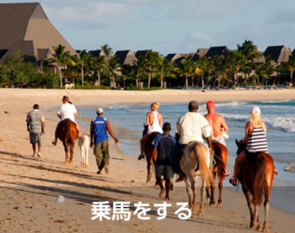 浜辺で乗馬をする