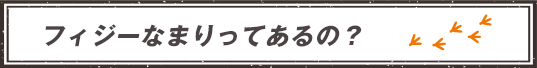 フィジー留学の体験談